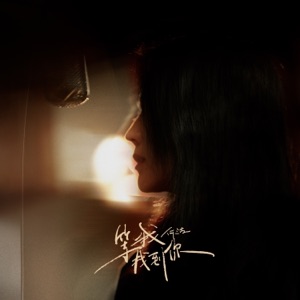 等我找到你 - Single