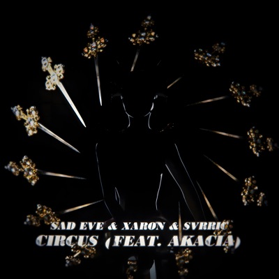 Circus (feat. Akacia) - Single