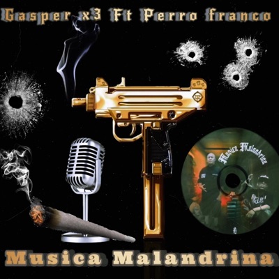 Música Malandrina (feat. Perro Franco) - Single