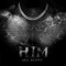 HIM ALL ALONG artwork