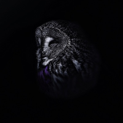 Wat Als Het Morgen Eindelijk Lukt?