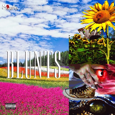 Blunts - Single