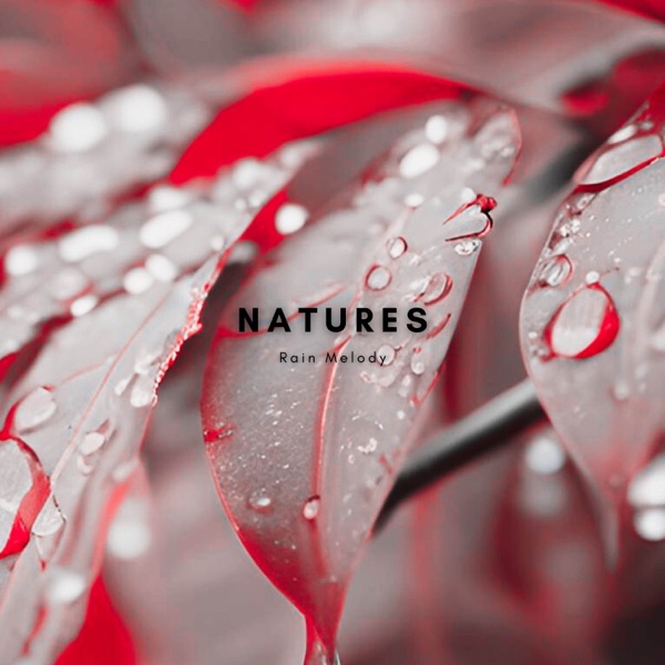 Natural Euro - EP