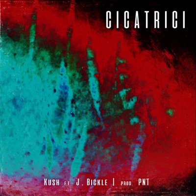 Cicatrici (feat. J Bickle) - Single
