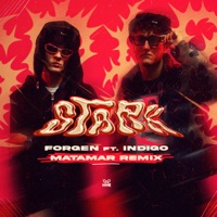 STARK (MATAMAR RMX) - Single - Forgen, Indigo & Matamar