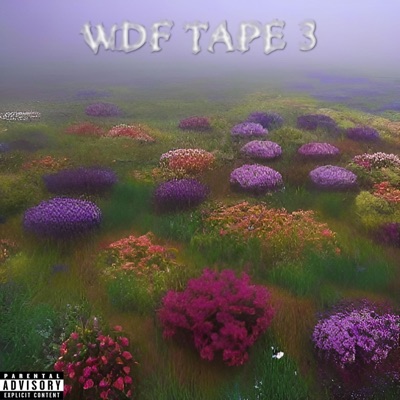 WDF TAPE 3