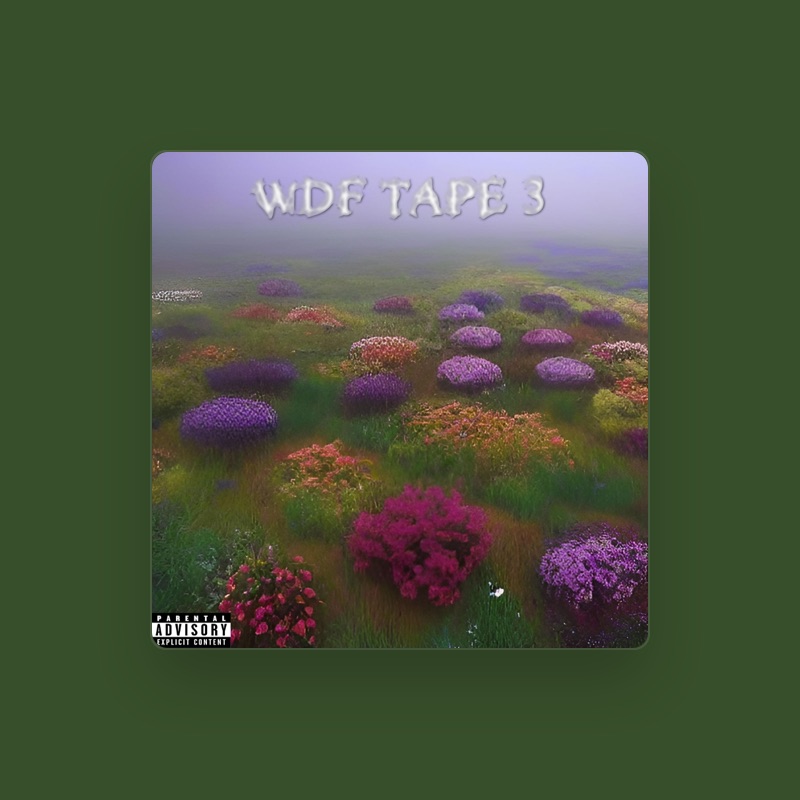 WeDontFollow