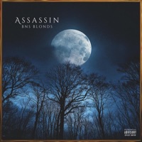 Assassin (feat. FRANKLIN) - Single - Bns Blonds