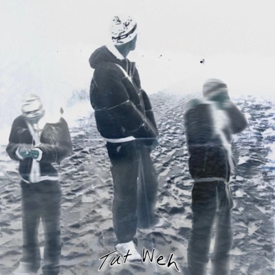 Tut Weh (feat. majin wav) - Single