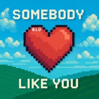 Somebody Like You (feat. Westcoast Stone) - Single - Blü & Dom_Brady