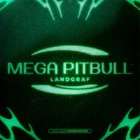 MEGA PITBULL - Single - DJ LANDGRAF