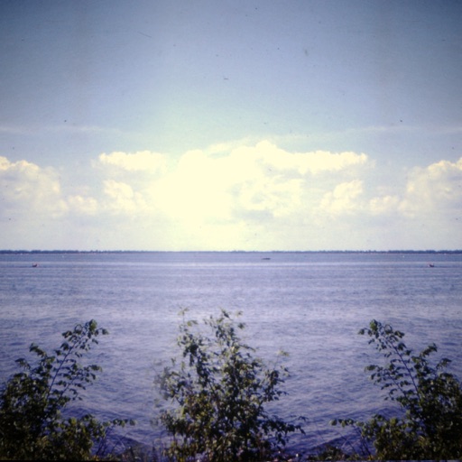 Album artwork