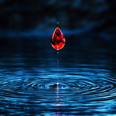 Rio de Graça (feat. David Sousa) - Single