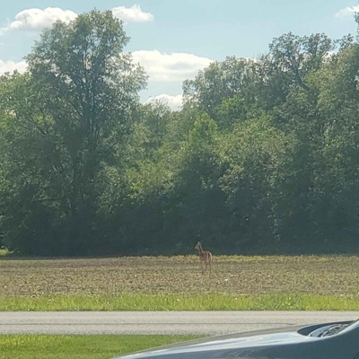 More Unreleased - EP