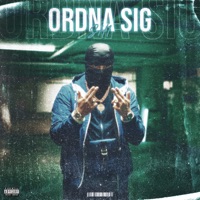 ORDNA SIG - Single - SH-1