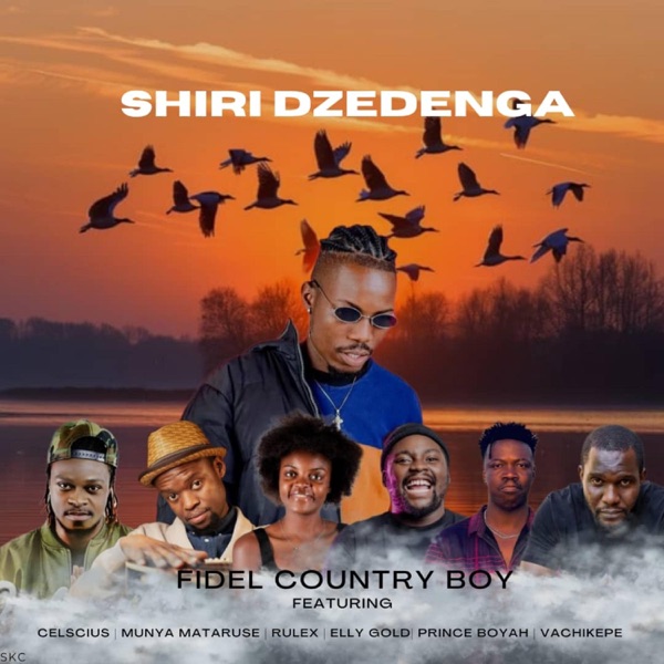 Shiri dzedeng