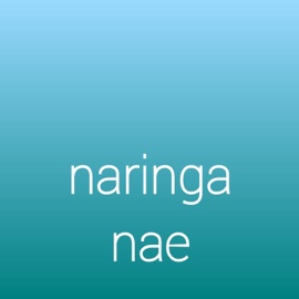 Naringa nae (feat. Smiles Killer) CARTOON47