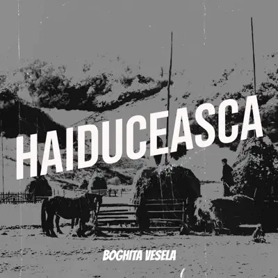 Listen to Haiduceasca - Single by Boghita Vesela