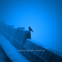 capturing this feeling - Single - nocturnal whisper