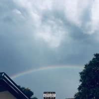 Shantel's Dilemma - Single - Stxlen Mkay