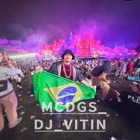 PUTA JOGANDO-MC DGS, DJ MARKIM WF, PH DA SERRA (DJ VITIN Remix) - Single - MC DGS