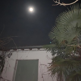 SANDSTORM (feat. INCCCX) M4TIC