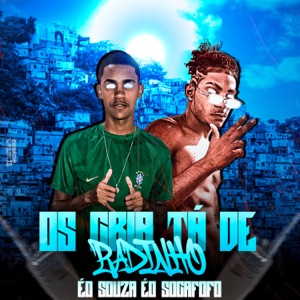Os Cria Tá de Radinho (Brega Funk)