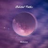 Orbital Paths - Single