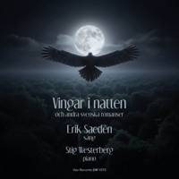 Vingar i natten och andra svenska romanser - Erik Saeden & Stig Westerberg