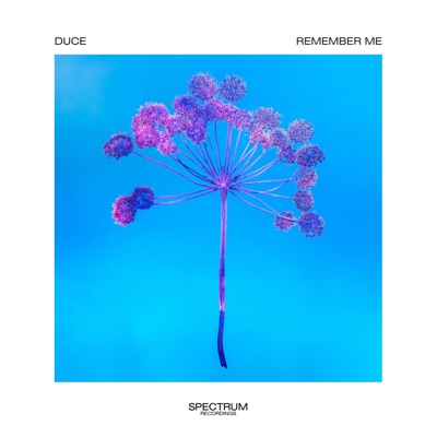 Remember Me - Single
