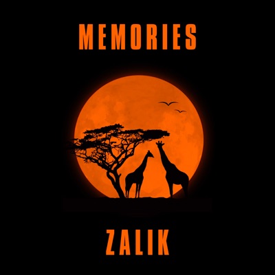 MEMORIES - Single