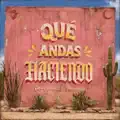Que Andas Haciendo