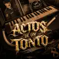 ACTOS DE UN TONTO