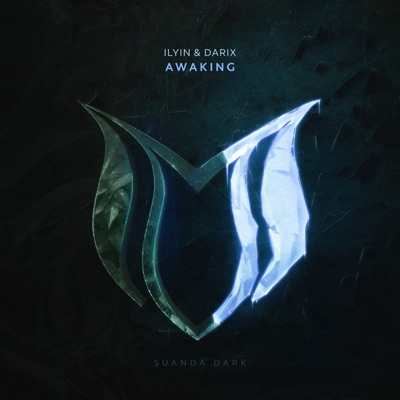 Awaking - Single