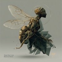 Sweat Sour Love - Single - INSCT & Hartmut Kiss