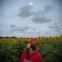 Sin Sentido - Single - Luana