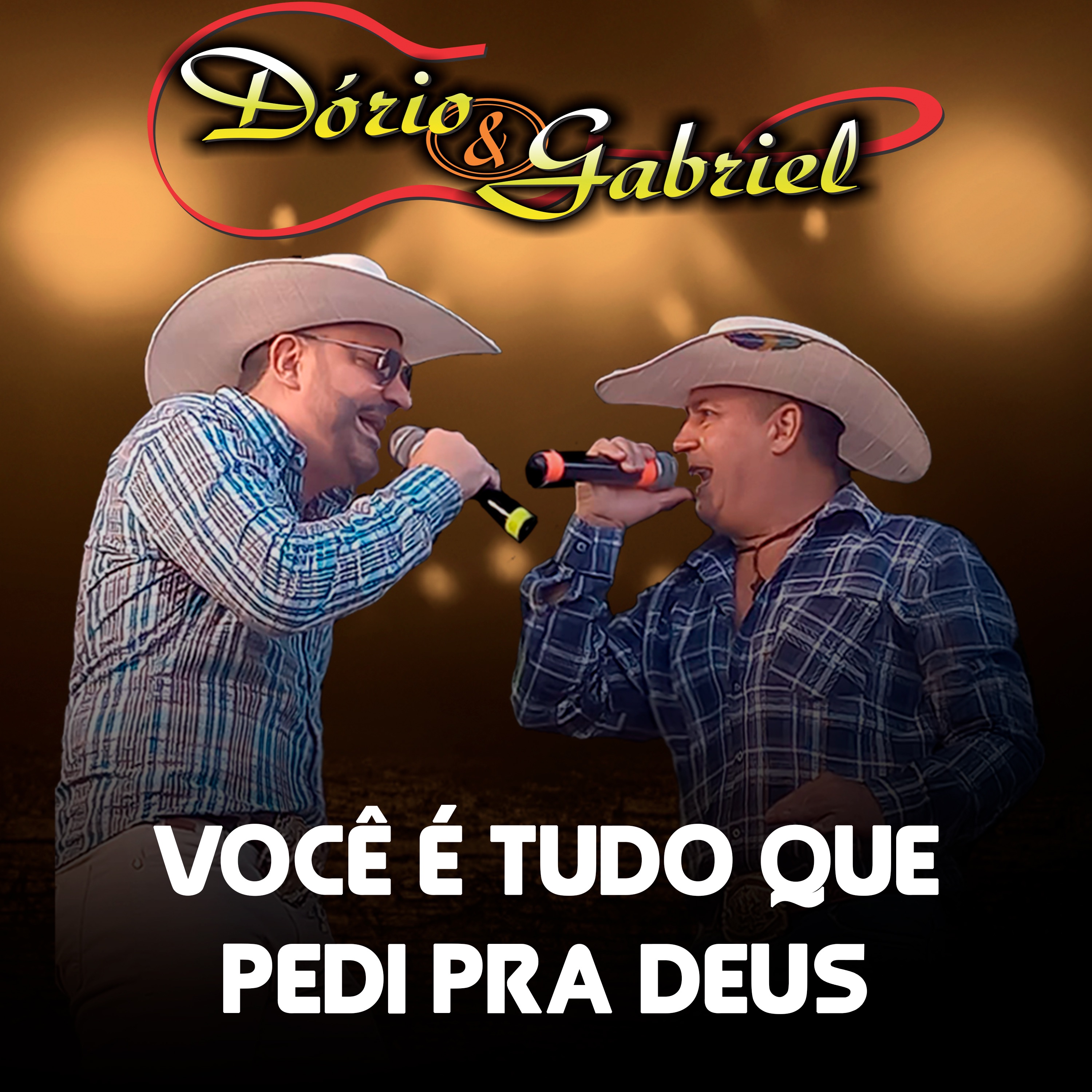 Você É Tudo Que Pedi pra Deus (Cover) - Single