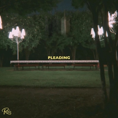Pleading - Single