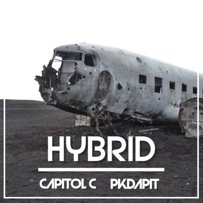 HYBRID (feat. PKDAPIT) - Single