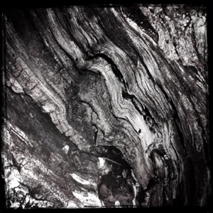 Streams Of Consciousness 241211