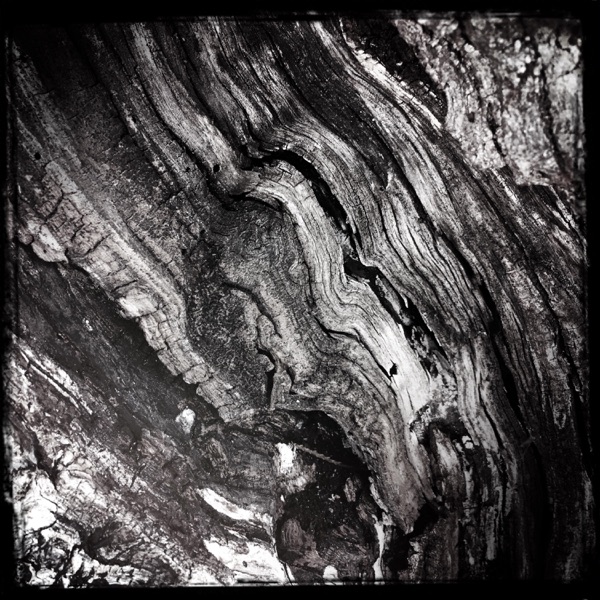 Streams Of Consciousness 241211