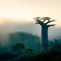 ecuador - Single - Akaona