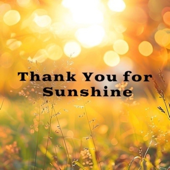 Thank You for Sunshine (Afrobeat Version) song art