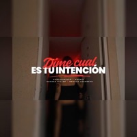 Dime cual es tu intención (feat. Aranzy, Brokua Guerrero & Rogger Miller) - Single - Pablosinjuan