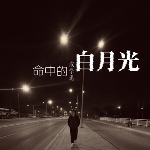 命中的白月光 - Single