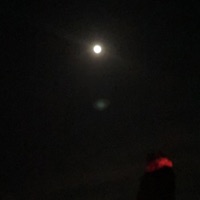 Insomniac - Single - KcChalk