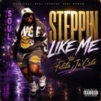 Steppin Like Me - Single
