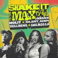 SHAKE IT TO THE MAX (FLY) REMIX