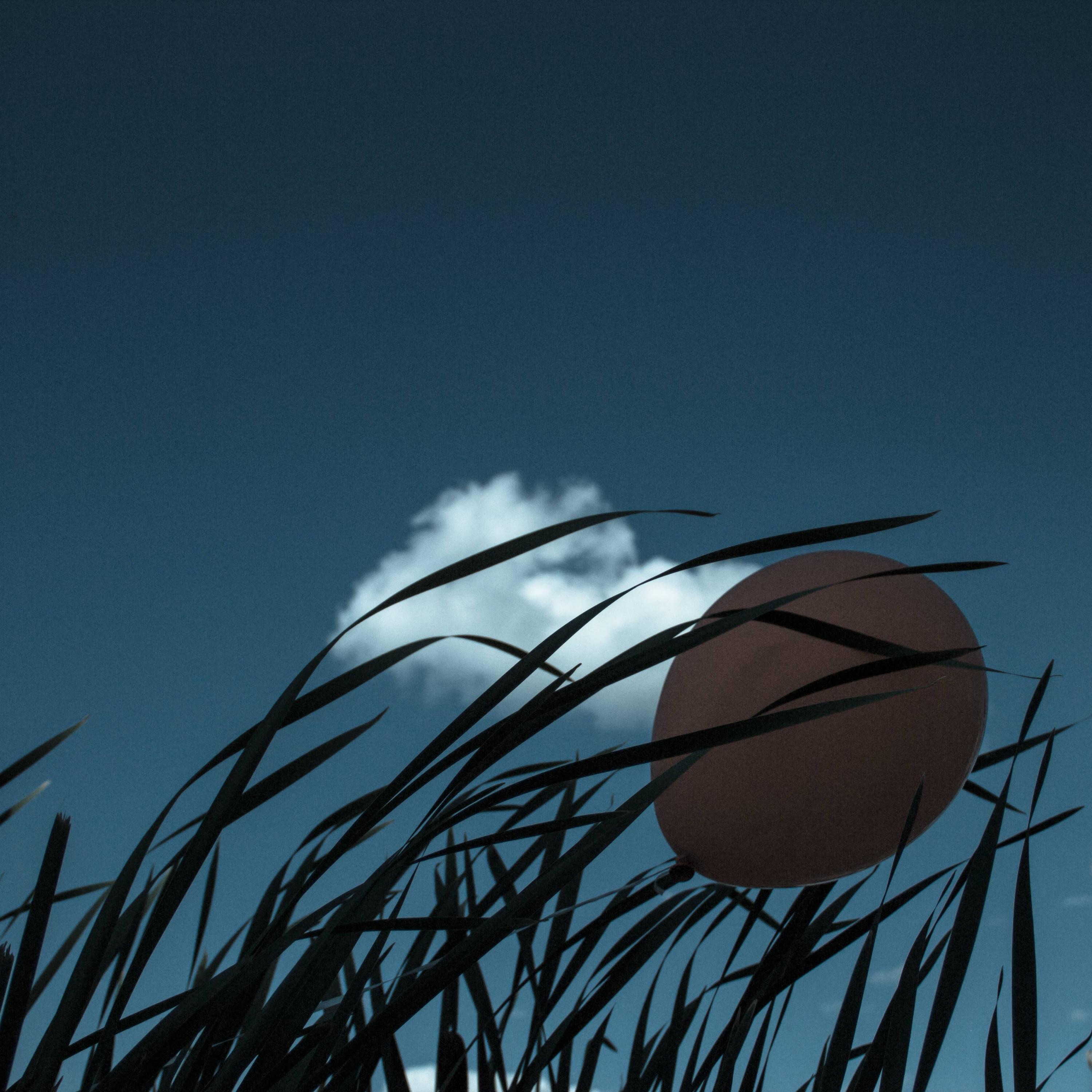 Cut Me Loose - Single