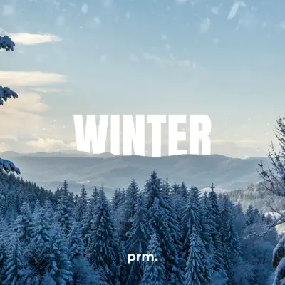 Ascolta 'Winter - Single' di P.R.M